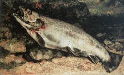 The Trout